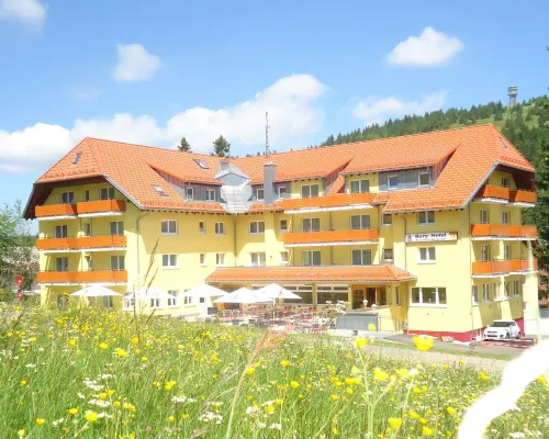 Burg Hotel Feldberg Ξενοδοχεία στην πόλη Feldberg