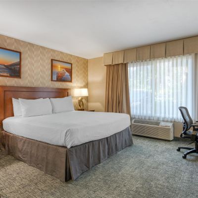 King Room Best Western Seven Seas Promo Code