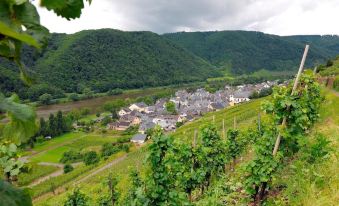 Wein- Und Gastehaus M. Bai