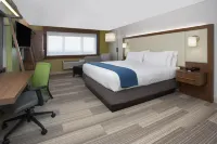 Holiday Inn Express & Suites RAPID CITY - RUSHMORE SOUTH by IHG