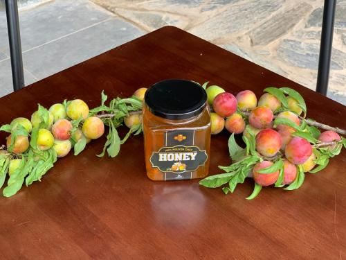 三人间 - 带露台