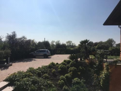 园景高级双人房