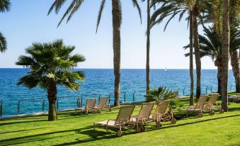 a beautiful outdoor setting with palm trees , grassy lawns , and lounge chairs near the water at Radisson Blu Resort, Gran Canaria