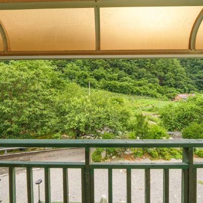 민들레 (202) 단양 사랑애 펜션 쿠폰