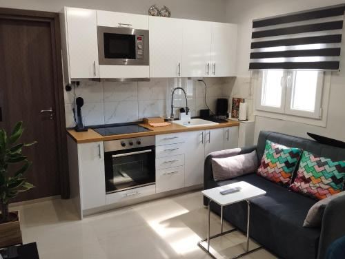 享有花园景致的公寓