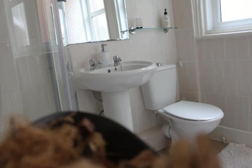 公寓 - 地面楼层