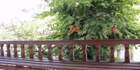 Limon Otel (Pansiyon 2)