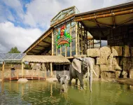 Appartements im Freizeitpark Weissenhauser Strand