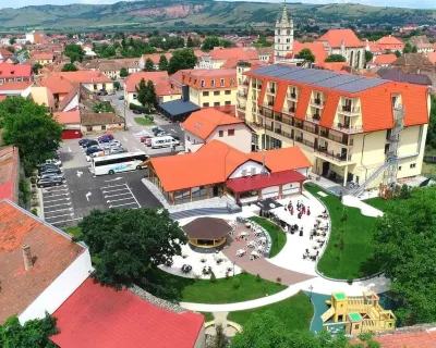 Hotel Leul de Aur Hotels in 