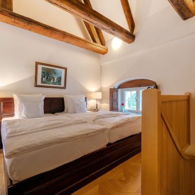 Duplex Schloss Purschenstein Promo Code