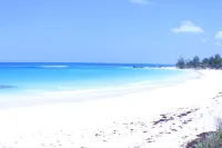Trade Winds - Oceanview, Private Pool, Short Walk To Pink Sand Beach, Central. のホテル