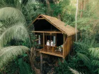 Sweet Songs Jungle Lodge Hotels in 