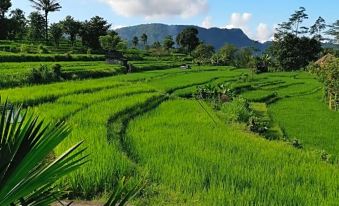 Sawah Indah Villa