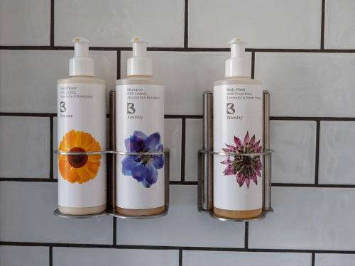 特大床双人或双床房