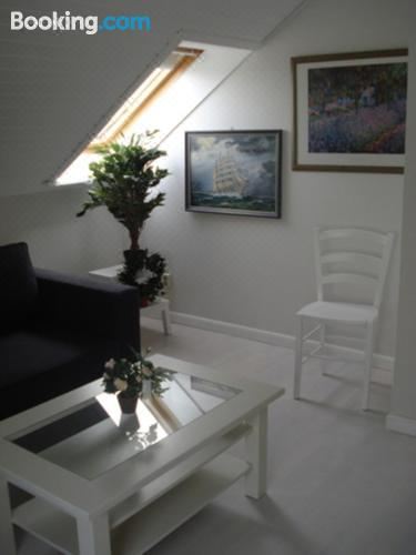 一卧室公寓带淋浴