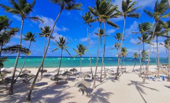 TrueCost Caribbean Paradise