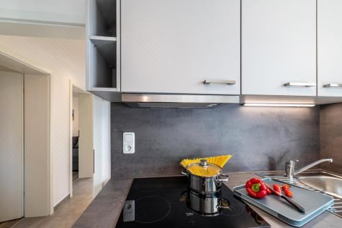 高级一卧室公寓