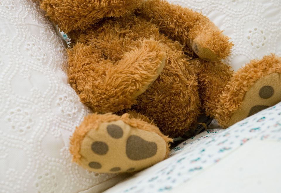 豪华园景双人或双床2号房