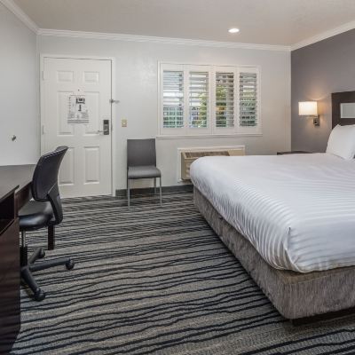 Standard King Room Redwood Creek Inn Promo Code