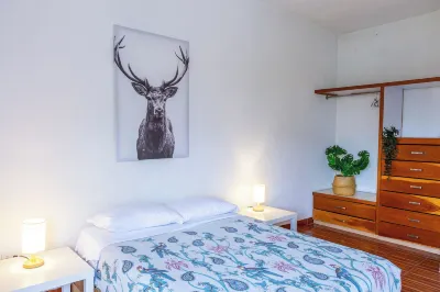 Hikuri House Hotels in 
