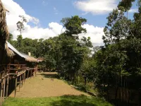Jacamar Lodge Expeditions Hotels in 