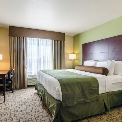 Suite, 1 King Bed with Sofa Bed, Accessible Shower, Non Smoking Cobblestone Hotel & Suites - McCook Promo Code