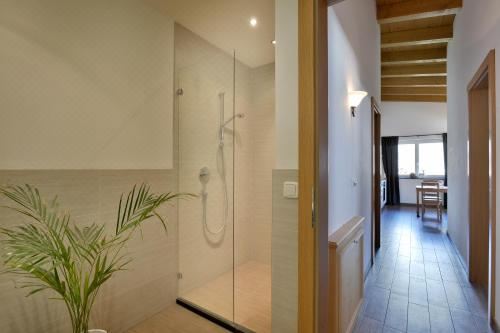 Appartementhaus Tanja One-Bedroom Apartment