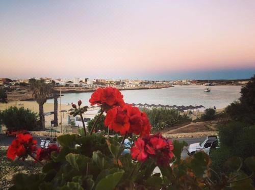 带海景的双人房