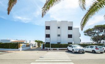a white building with a parking lot in front of it and palm trees lining the street at Sol Y Mar