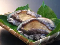 마루토라 벳칸