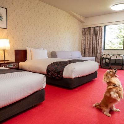 ドッグフレンドリーツイン アクティブリゾーツ 裏磐梯 クーポン