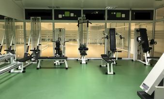 a well - equipped gym with various exercise equipment , including weight machines and cardio machines , on green flooring at Hotel Francis