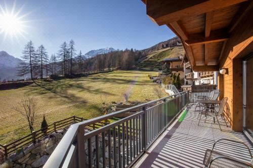 舒适两卧室公寓 - 带阳台