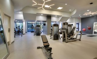 a modern gym with various exercise equipment , including treadmills and weight machines , under a large light fixture at Mobile Marriott