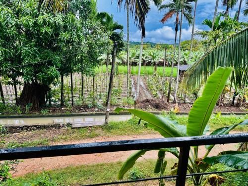 豪华特大床套房