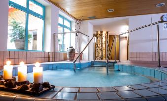 Hotel Toplice - Terme Krka - Housity