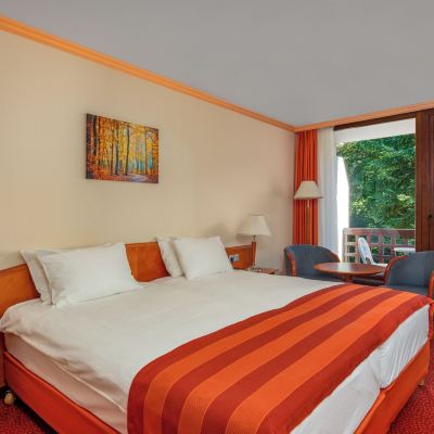 Superior Twin Room Ensana Thermal Sárvár Promo Code