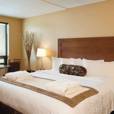 標準特大床房 坦珀爾花園與水療度假村優惠