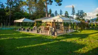 Kobuleti Georgia Palace Hotel & Spa Hotels in 