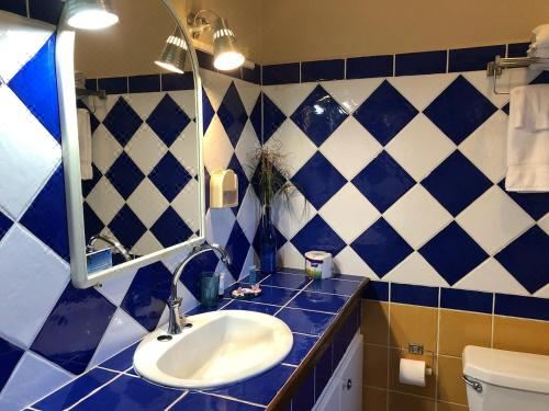 带园景一室公寓