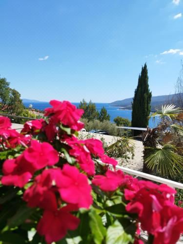 公寓 - 地面楼层