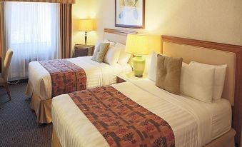 Cities of Gold Casino - Housity