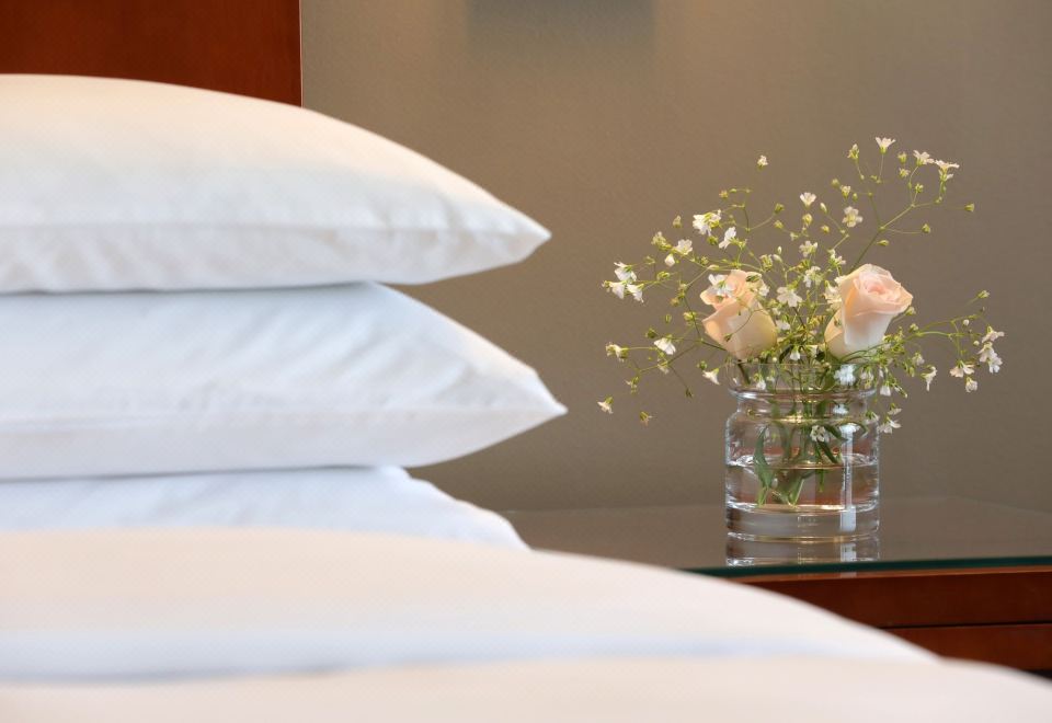 Park Hyatt Mendoza Hotel Casino and SpaTwin Room