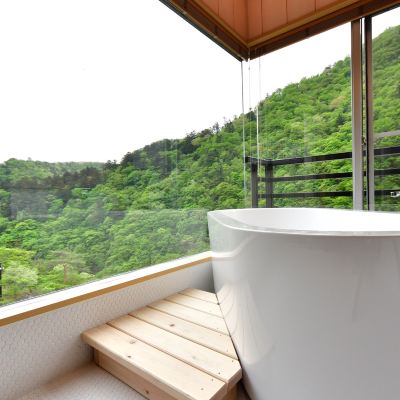 (Type D, Corner Room, No Children Allowed) [8 Tatami] [Japanese Room] [Non-Smoking] [Mountain View] 塩原温泉　渓流野天風呂と炉端料理の宿　湯守田中屋 クーポン