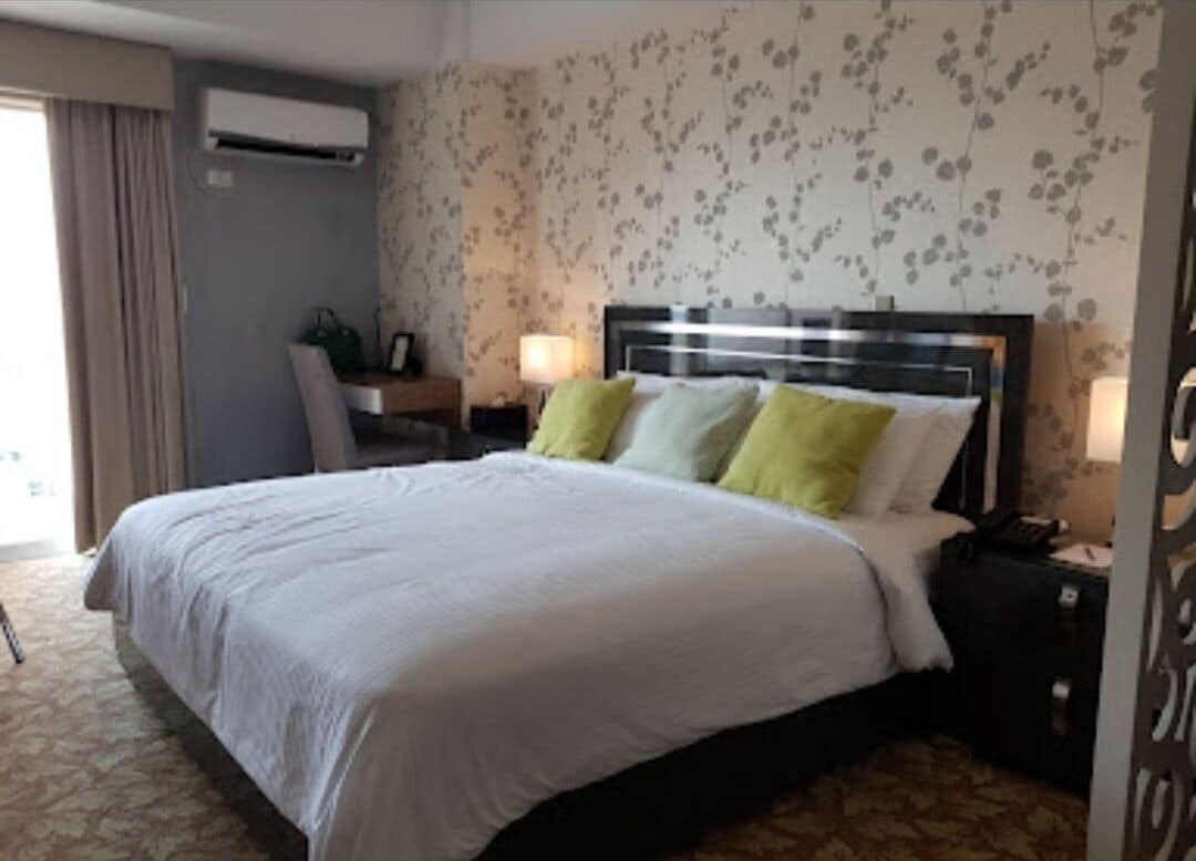 奢华公寓， 1 张特大床， 城市景观， 塔楼