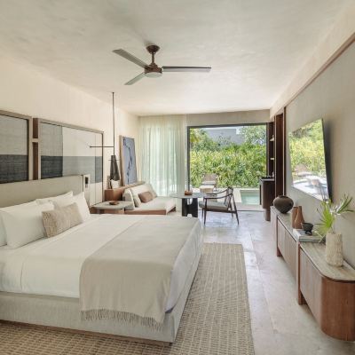 1 King Bed Lagoon Area with Plunge Pool Andaz Mayakoba Resort Riviera Maya Promo Code