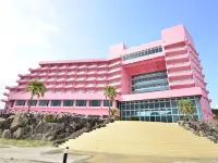 種子島巖崎酒店 酒店