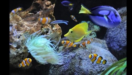 公寓 - 地面楼层