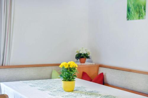 高级两卧室公寓