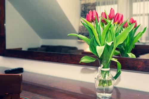 豪华双人床房（带加床）